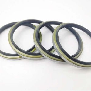Dust Seals STS