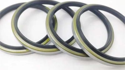 dust seals sts type