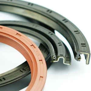 Oil Seals