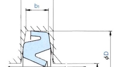 oil seal zt type