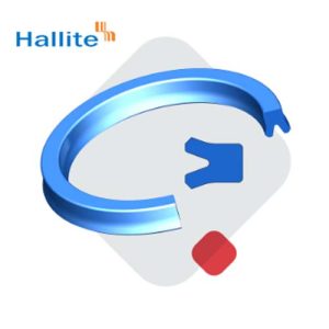 Piston Seals Hallite
