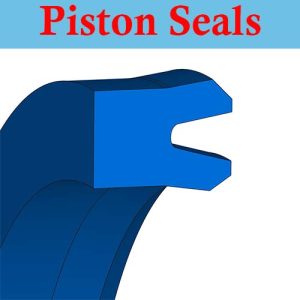 Piston Seals