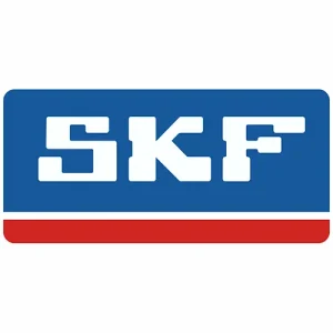 SKF Oil Seals